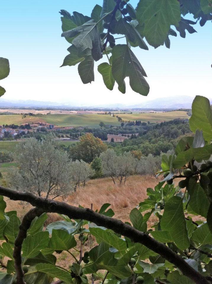 Agriturismo Il Palazzaccio Vila Galliano Exterior foto