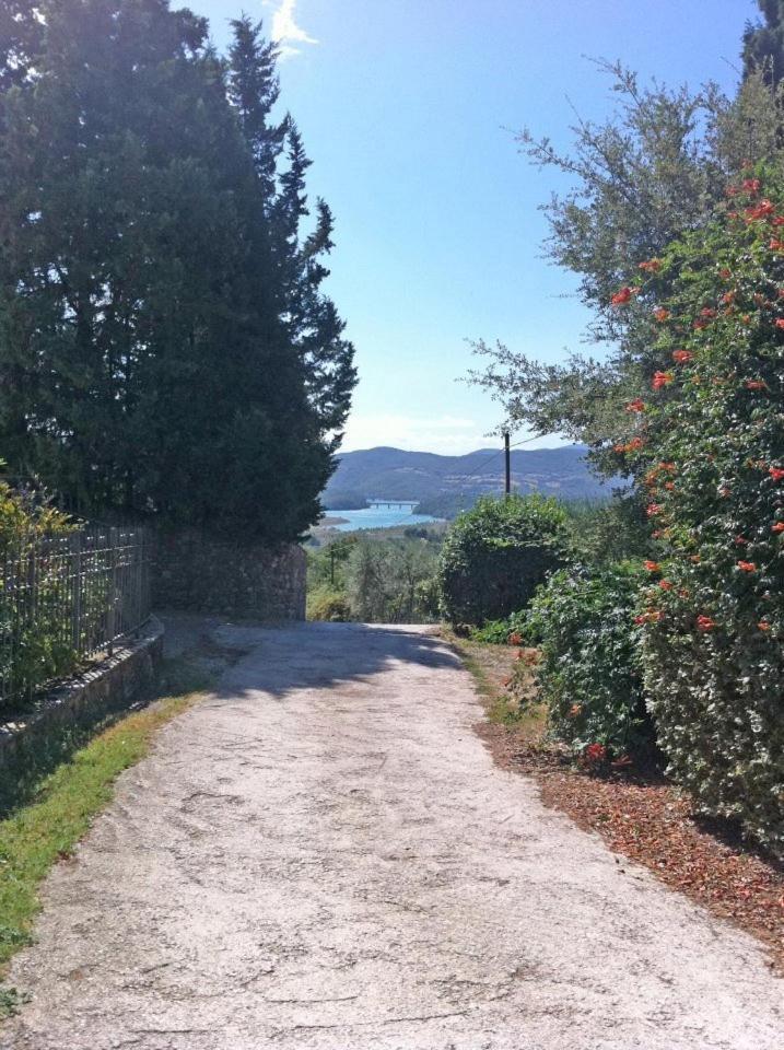 Agriturismo Il Palazzaccio Vila Galliano Exterior foto