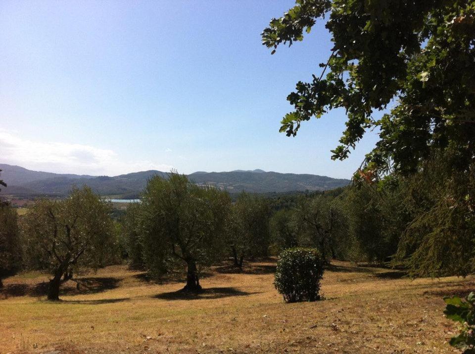 Agriturismo Il Palazzaccio Vila Galliano Exterior foto